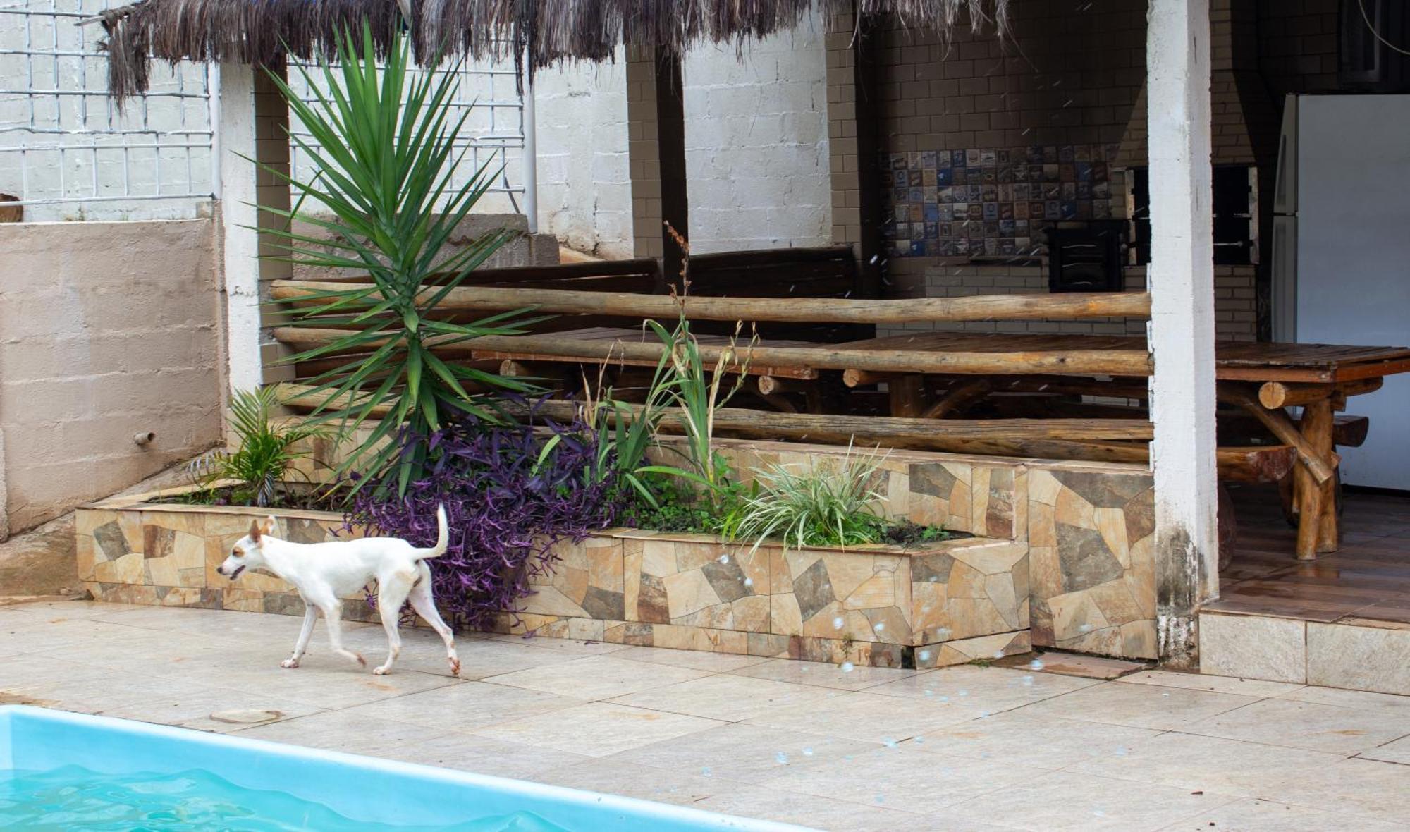 Chacara Familia Buscape Oliveira Holiday home